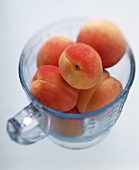 Several apricots in a measuring jug