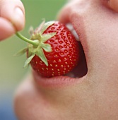 Mädchen beisst in eine Erdbeere