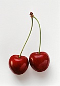 A pair of cherries (German Bigarreau cherry)