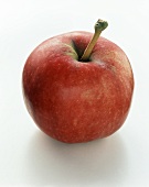 An Ingrid Marie apple (Christmas apple)
