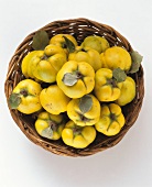 Quinces in a basket