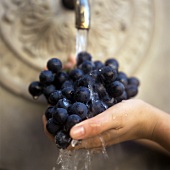 Washing red grapes at the fountain 