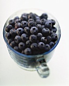 Blueberries in a measuring jug