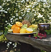 Plate of fruit (outdoors)