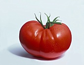 Eine Tomate