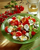 Mozzarella salad with cherry tomatoes and pine nuts