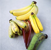 Various Bananas