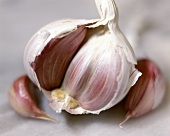 Garlic Bulb Opened