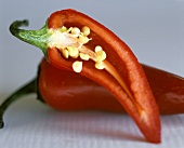 Halved Fresno Pepper