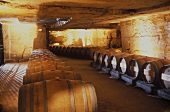 The fine wine cellar of Chateau Franc-Mayne, St. Emillion