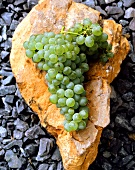 Chenin Blanc grapes lying on stone, South Africa