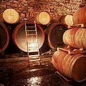 Barrique wine cellar in South Tyrol, Italy