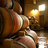 Wine cellar of Chateau du Grand Moueys, Bordeaux, France