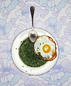 Creamed spinach with fried egg