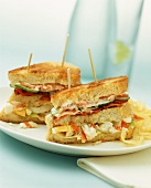 Toasted sandwiches with crab, bacon, vegetables
