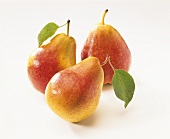 Three pears with stalk