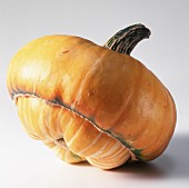 A Turk's turban pumpkin