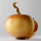 A brown onion