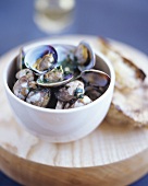 Clams with herb sauce