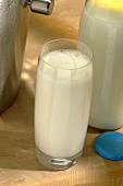 A glass of milk in front of a milk bottle