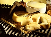 Several types of cheese from Serra da Estrela (Portugal)
