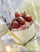 Raspberry dessert with lavender