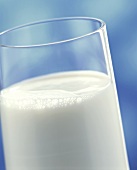 Glass of Milk