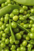 Green peas (filling the picture)