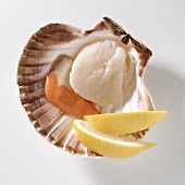 Scallop with lemon wedges