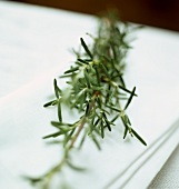 Rosemary