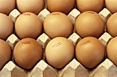 Braune Eier im Eierkarton (bildfüllend)