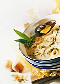 Mussel soup with white wine