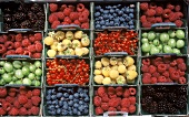 Various Berries
