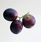 A Small Bunch of Purple Grapes