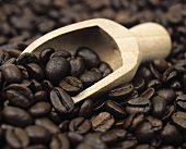 Coffee Beans in a Scoop