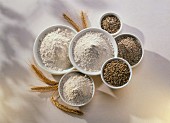 Grains of rye, crushed rye grains & rye flour