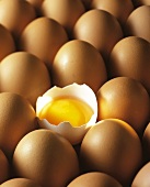 Brown Eggs with One Open