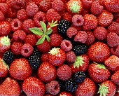 Raspberries, strawberries & blackberries (filling the picture)