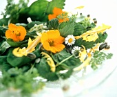 Mixed Herb Salad