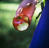 Angebissener Apfel, von Hand gehalten, im Freien
