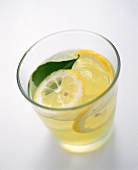 Lemonade in Glass