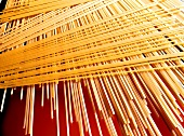 Pasta still life with spaghetti