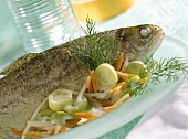 Steamed trout on root vegetables