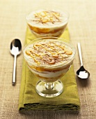 Honey and apricot mousse in a dessert bowl
