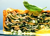 Grüne Lasagne mit Spinat und Ricottakäse