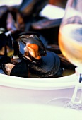 Mussels, a glass of white wine in front