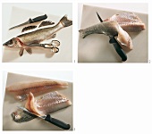 Cutting open, filleting and skinning pike-perch