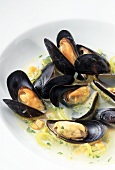 Mussels, French style