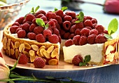 Raspberry cream gateau
