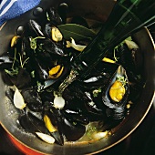 Mussels in wine stock: adding wine